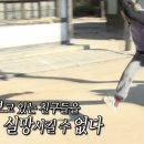 루다폴댄스 이미지