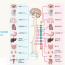안동현한의원 이미지