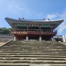 통영 여행 【세자트라숲&amp;이순신공원&amp;남망산조각공원&amp;삼도수군통제영】 이미지