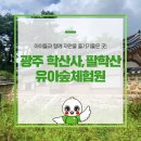 팔학산 유아숲체험원 이미지