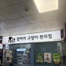 강아지고양이편의점분당 - 성남시 분당구 정자일로 25 | 강아지고양이편의점분당