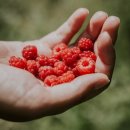 강경하한의원 이미지