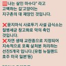 🆘️야생 유해동물 길'고양이의 [[질병 세균'과 악성역병]]에 ⚠️오염된 토양 농산물 ⚠️오염된 바다 해산물을 ⚠️먹지 못해 죽습니다 이미지