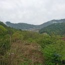 통나무밸리 이미지