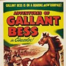 1948 용감한 베스의 모험Adventures of Gallant Bess 이미지