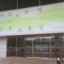 국립전주박물관 | [갭이어 프로그램] &lt;도전과 변화 5일차 - 4편&gt;(국립전주박물관 관람 후기: 역사실, 미술공예실 등)