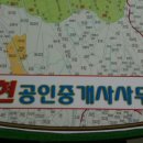 금곡공인중개사사무소 이미지