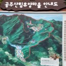 공주산림휴양마을 유아숲체험원 이미지