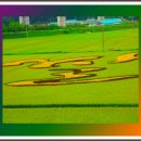 청주스크랩 이미지