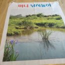 신관초등학교 이미지