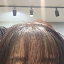 로드28송파