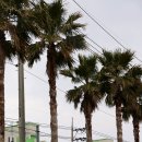 미우지1길 이미지