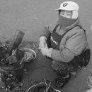 장터사람들 이미지