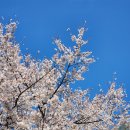 (주)나무연구소 | 오산 물향기수목원 단체 관람 및 해설프로그램 참여 *무료입장