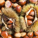 푸른숲계곡산방 이미지