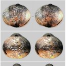 토제방울 이야기 | 가야의 건국신화 2가지로 나누어집니다.