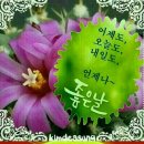 좋은날 - 구로구 구로중앙로 134 | 좋은날