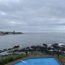 웨이브필 | 포항[구룡포] 포항 구룡포 숙소 파인웨이브, 내돈내산 리뷰