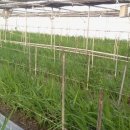 만경농장 이미지