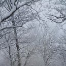 인제16-2 이미지