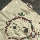 자연아이숲유치원 이미지