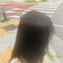 참빗헤어샵 - 칠곡군 북중리3길 69 | 미사볼륨매직으로 악성곱슬 탈출! 시월의헤어 솔직 후기