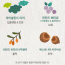 포레스트스파 이미지