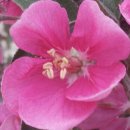 궁한옥민박 이미지