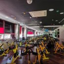 더라인 휘트니스 이미지