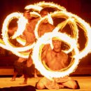 비치조아 이미지