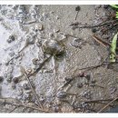 부영2공원 이미지