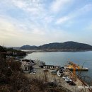 동막해수욕장 Daum카페