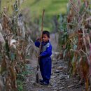 배식농장 이미지