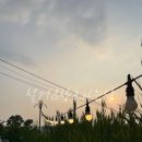 600흑돈송천점 이미지