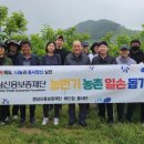 신용단감
