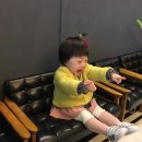 릴리펏