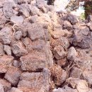 좌가연대 이미지