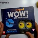 WOW 영어 그림책놀이 | [영어그림책 후기] 🌙 Wow, it’s night time!｜밤이 되면 깨어나는 자연의 비밀｜외대김코치 영어책 읽기