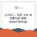 부경대학교 수산질병관리원 이미지