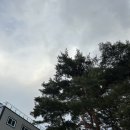 밀양 위양지 대형 카페 와플 맛집 [위양448] 매장 방문 후기