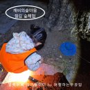 숲속의 행복마을 | 서울숲 숲체험 풀피리 선생님과 함께한 깨비의숲마을 후기, 손전등 들고 떠나는 밤숲 모험!