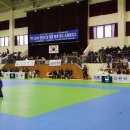 영광잔디 이미지