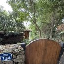 연리지펜션 | [제주도 펜션 추천] 아기랑 부모님이랑 함께 이용하기 좋은 한옥 독채펜션 연리지 후기