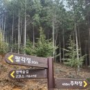 하동편백자연휴양림 이미지