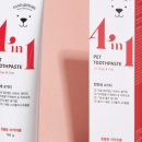 덴탈스토리 이미지