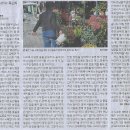 정상퇴비 Daum카페