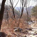 김포평화누리길 3코스 | 김포평화누리길 코스 트레킹 후기: 자연 속의 소중한 시간