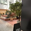 컴포즈커피 과천엠타워점 | 과천 펄시커피 과천점 오픈｜자이타워 카페 명소! 인기메뉴 추천&amp;리얼후기