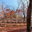 도심의 쉼터 | 도심의 쉼터 남산 하늘숲