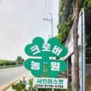 입장농협 산지유통센터 | &#34;크로버농원 샤인머스캣, 당도·향 뛰어난 최고급 과일로 각광&#39;